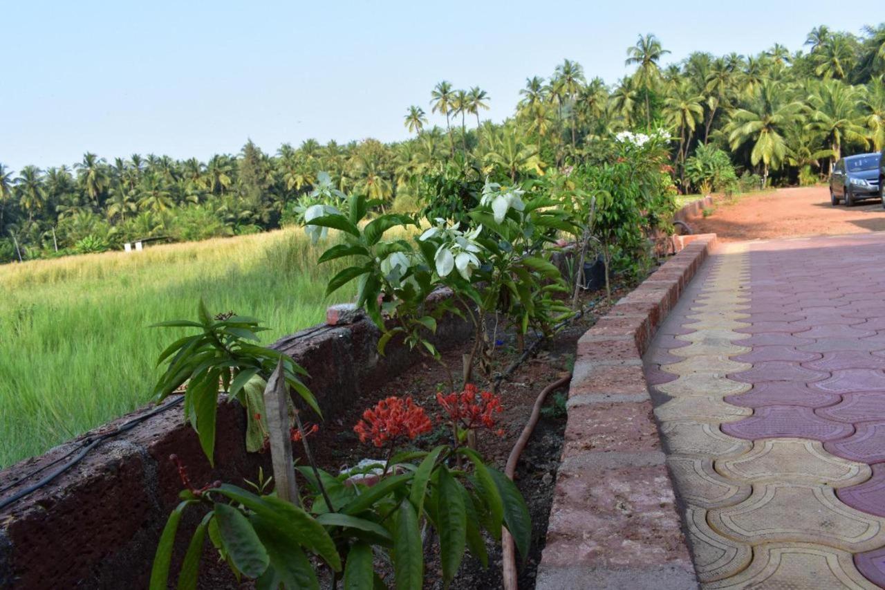 Suma Beach Resort Dāpoli Exterior foto